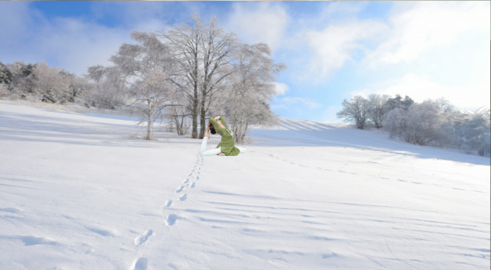 雪ハト